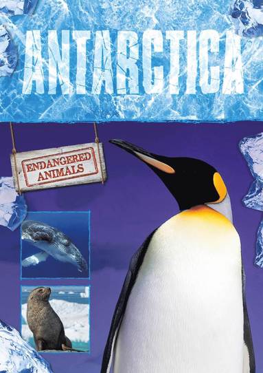 bokomslag Antarctica