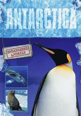 Grace Jones - Antarctica, Inbunden