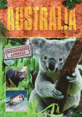 bokomslag Australia