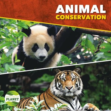 bokomslag Animal Conservation