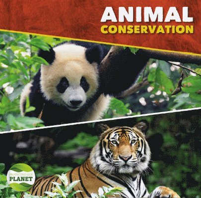 Animal Conservation 1