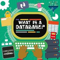 bokomslag What is a Database?