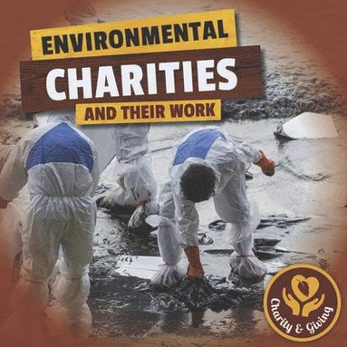 bokomslag Environmental Charities