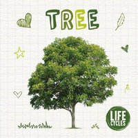 bokomslag Tree