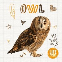 bokomslag Owl