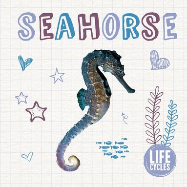 Madeline Tyler - Seahorse, Inbunden