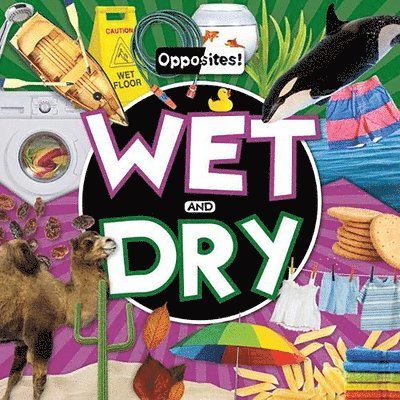 Wet and Dry 1