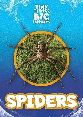 Spiders 1