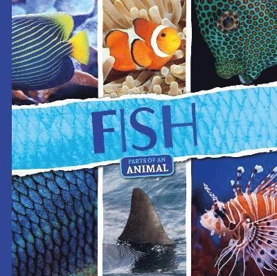 Fish 1