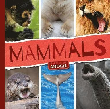 bokomslag Mammals