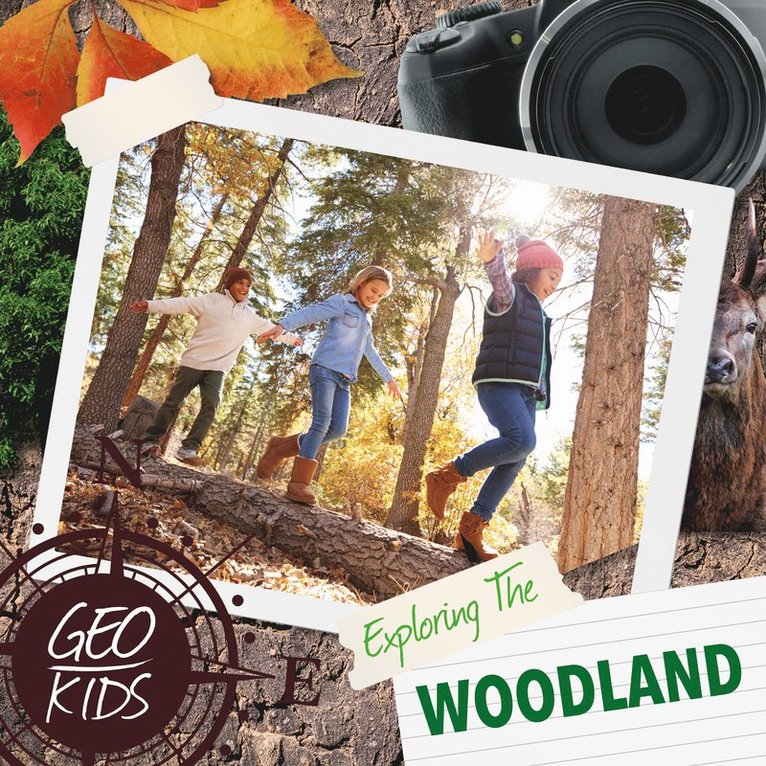 Holly Duhig - Exploring the Woodland, Inbunden