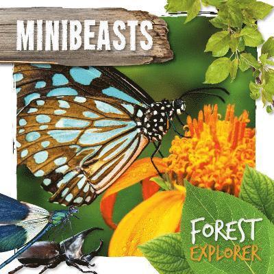 Minibeasts 1