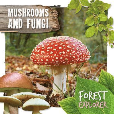 Robin Twiddy - Mushrooms & Fungi, Inbunden