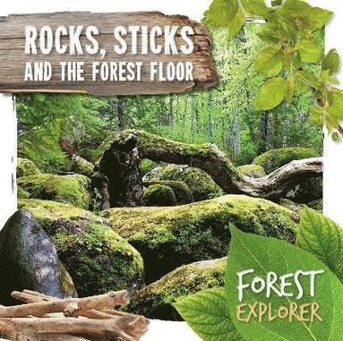 bokomslag Rocks, Sticks & the Forest Floor