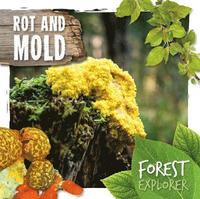 bokomslag Rot & Mould
