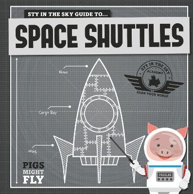 Space Shuttles 1