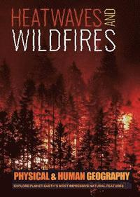 bokomslag Heatwaves and Wildfires