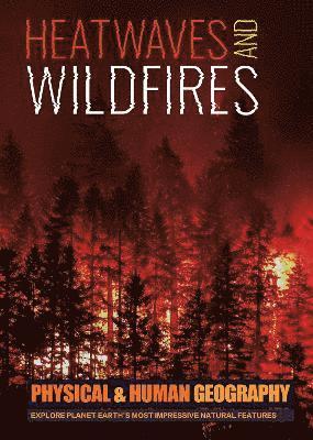 bokomslag Heatwaves and Wildfires