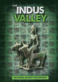 bokomslag Indus Valley