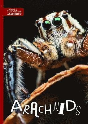 bokomslag Arachnids