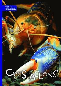 bokomslag Crustaceans