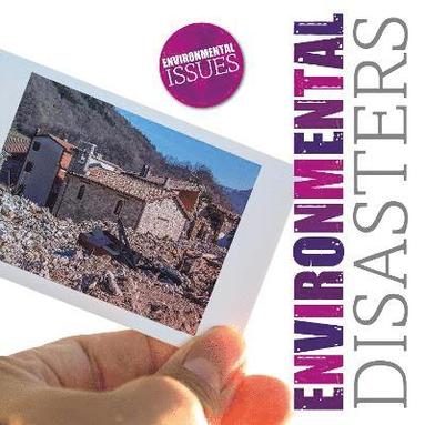 bokomslag Environmental Disasters