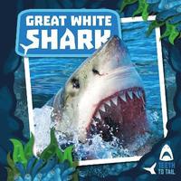 bokomslag Great White Shark