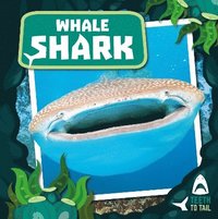 bokomslag Whale Shark