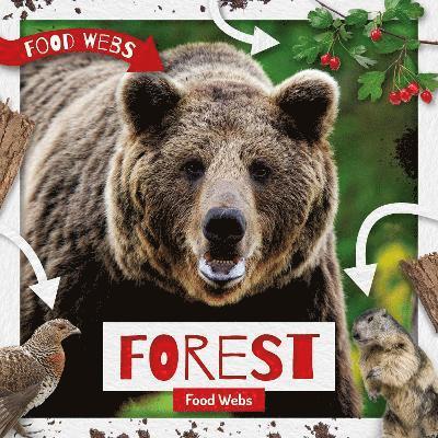 Harriet Brundle - Forest Food Webs, Inbunden