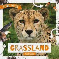 bokomslag Grassland Food Webs