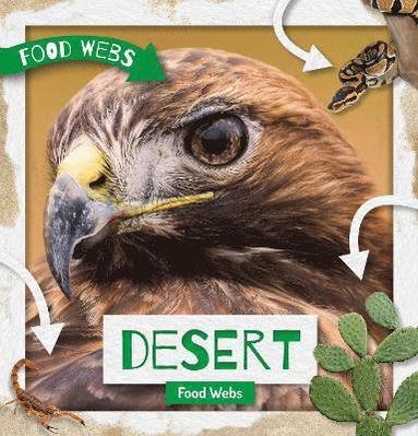 bokomslag Desert Food Webs