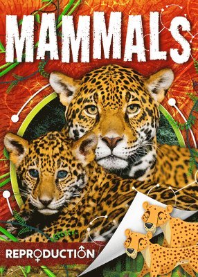 Mammals 1