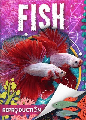 Fish 1