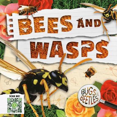 bokomslag Bees and Wasps