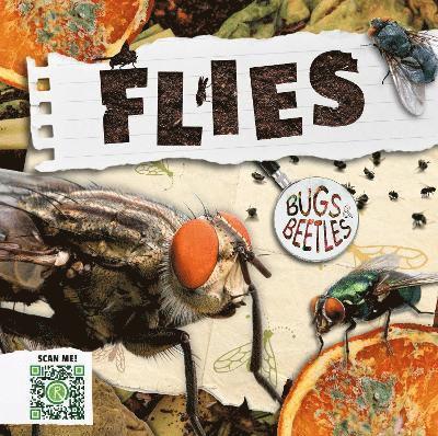 Flies 1
