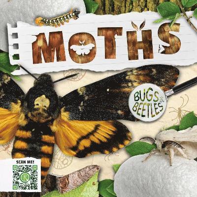 Moths 1