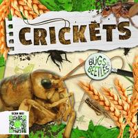 bokomslag Crickets