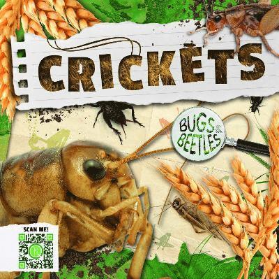 William Anthony - Crickets, Inbunden