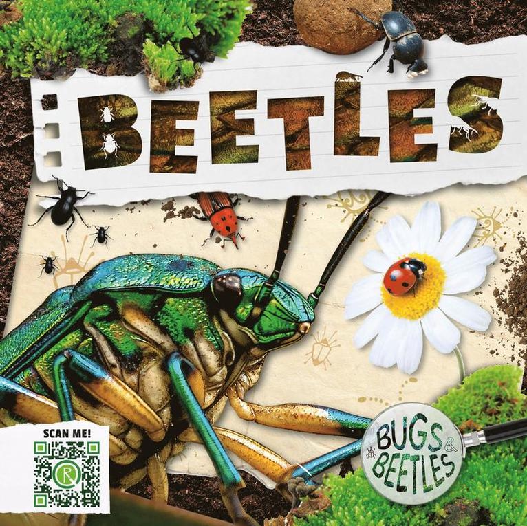 Beetles