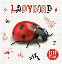 bokomslag Ladybird