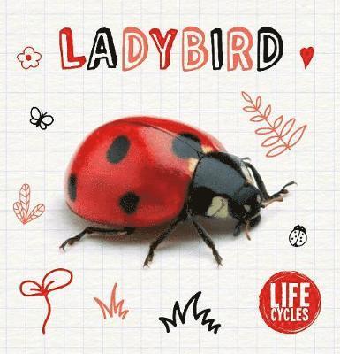 Ladybird 1