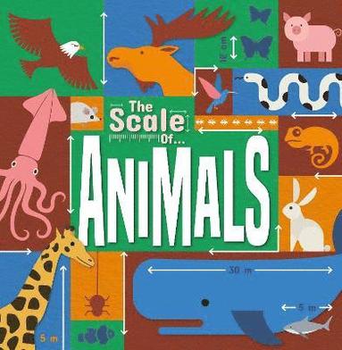 bokomslag Animals
