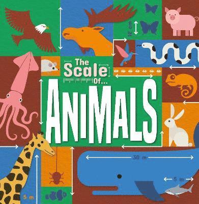 Animals 1