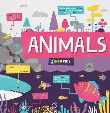 bokomslag Animals