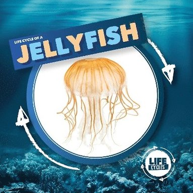 bokomslag Jellyfish