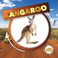 bokomslag Kangaroo