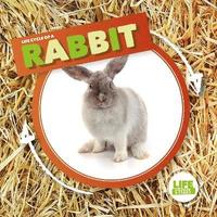 bokomslag Rabbit