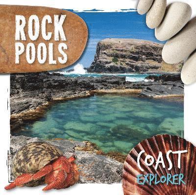 Rock Pools 1