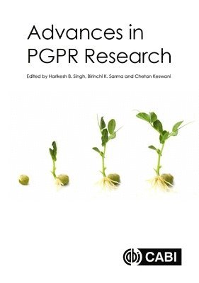 bokomslag Advances in PGPR Research