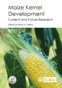 bokomslag Maize Kernel Development